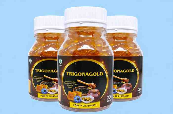 Efek Samping Trigona Gold dan Khasiatnya